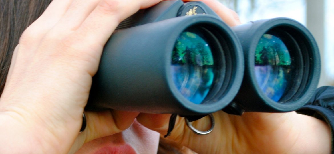 Nail Salons in Guelph