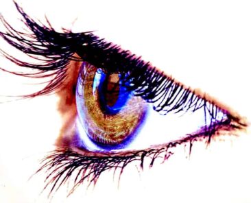 Different Types of Eyelash Extensions